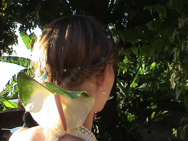 Click for original image 43k 640x480